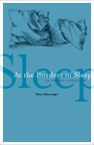 At the Borders of Sleep: On Liminal Literature