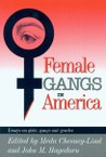 Female Gangs in America: Essays on Girls, Gangs and Gender