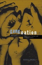 Gang Nation: Delinquent Citizens in Puerto Rican, Chicano, and Chicana Narratives