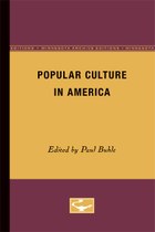 Popular Culture in America
