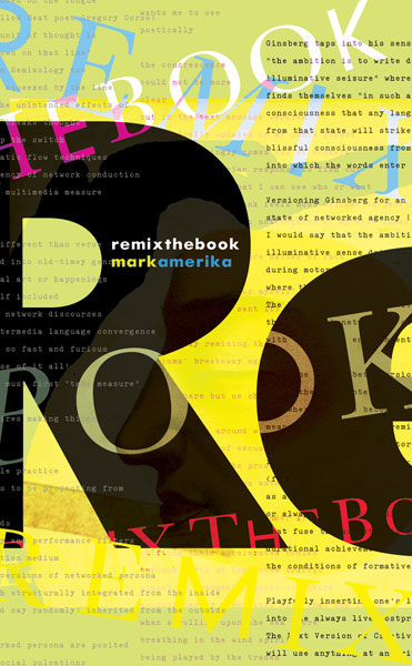 cover for remixthebook