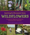 Searching for Minnesota’s Native Wildflowers: A Guide for Beginners, Botanists, and Everyone in Between