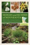 The first comprehensive, fully illustrated field guide to Minnesota’s nearly 250 species of sedges and rushes