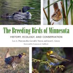 A comprehensive, detailed, illustrated history of Minnesota’s breeding birds—the first in nearly a century