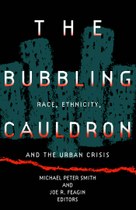The Bubbling Cauldron: Race, Ethnicity, and the Urban Crisis