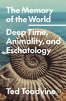 Advancing a phenomenological approach to deep time