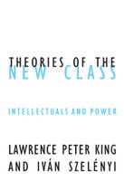 Theories of the New Class: Intellectuals and Power