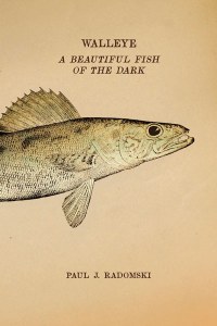 Walleye, the holy grail of game fish: on catching them, understanding their biology and history, and ensuring their survival