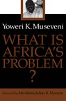 What Is Africa’s Problem?