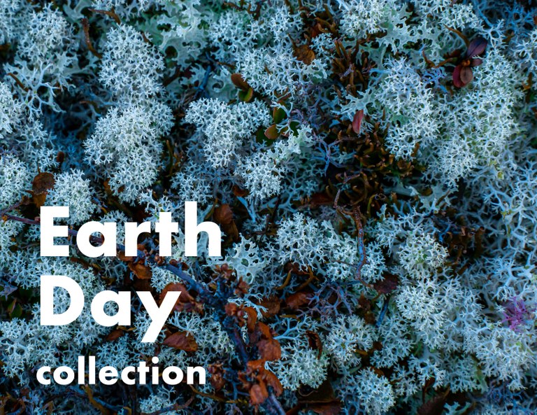 Arctic reindeer lichen in background. White serif font, lower left corner, reads: Earth Day collection.